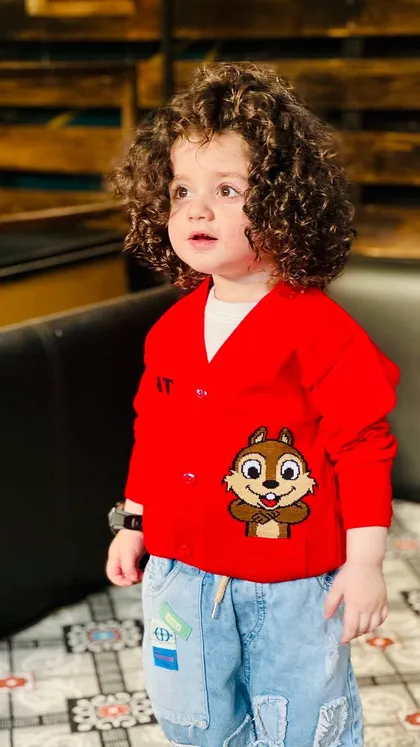 پلیور سنجاب (شارژ دوم)