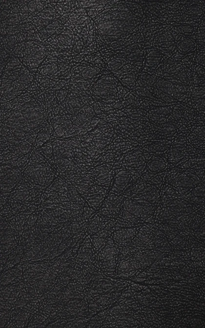 کاپشن مردانه Colin's کد Cl1076178