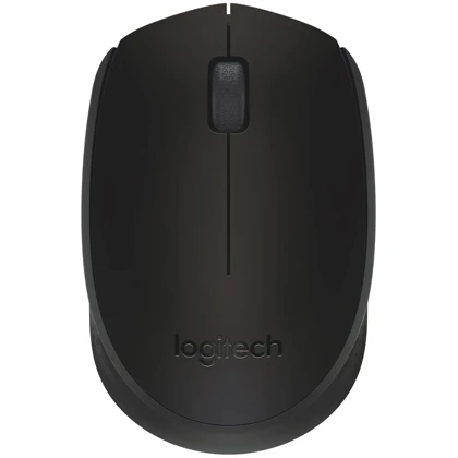 موس بی سیم لاجیتک M171