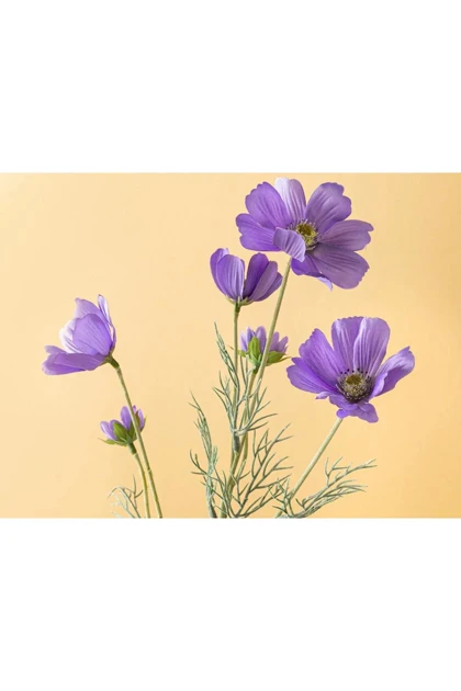 گل مصنوعی تک‌شاخه English Home مدل Daisy