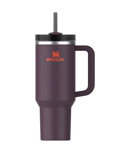 ماگ دسته دار استنلی تامبلر نی دار QUENCHER H20 TUMBLER