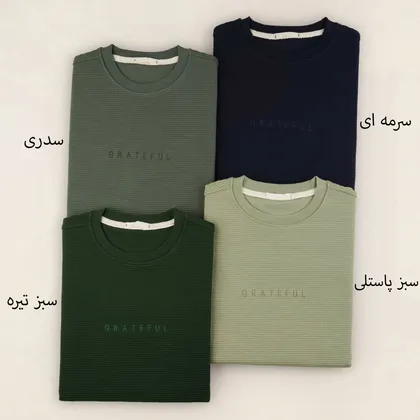 بلوز مردانه 17510