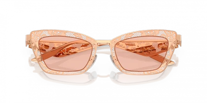 عینک آفتابی دولچه گابانا Dolce &amp; Gabbana DG2311S 129884