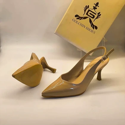 مجلسی پشت‌باز ظریف