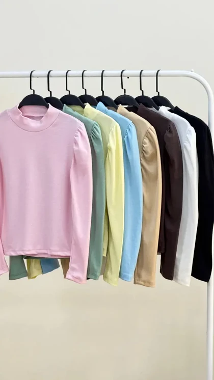 بلوز پرنسلی