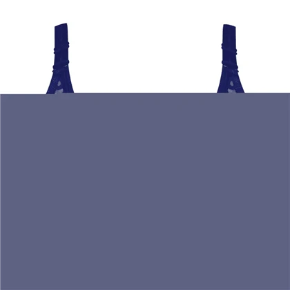 سوتین زنانه پانیذ