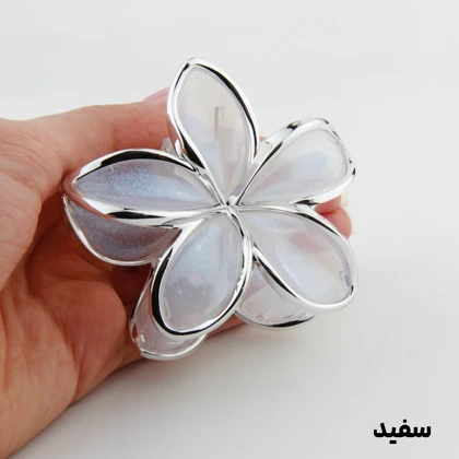 کلیپس دخترانه مدل پلومریا دور نقره ای