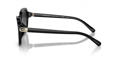 عینک آفتابی کوچ Coach HC8349U Polarized