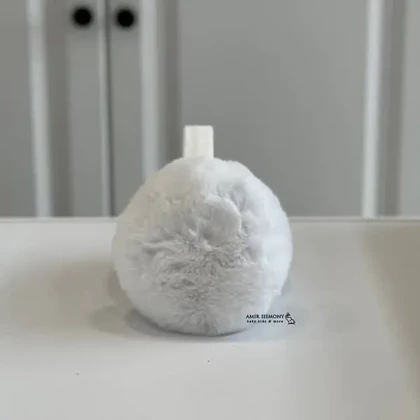 گوشگیر زمستانه خزدار ساده