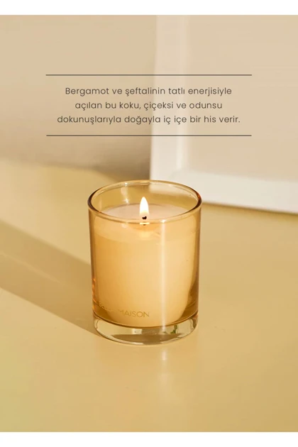 شمع معطر Bella Maison مدل Amberwood Trail موم سویا - زرد