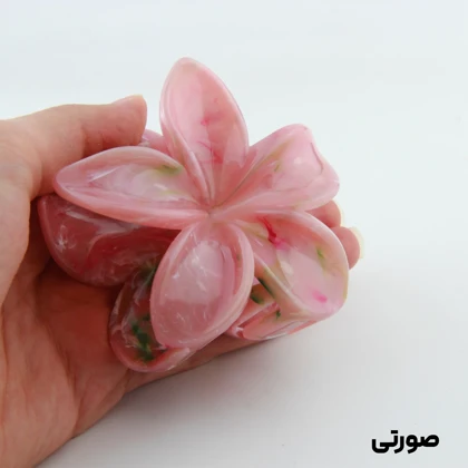 کلیپس دخترانه مدل پلومریا آبرنگی