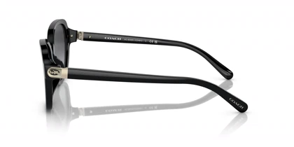 عینک آفتابی کوچ Coach HC8349U