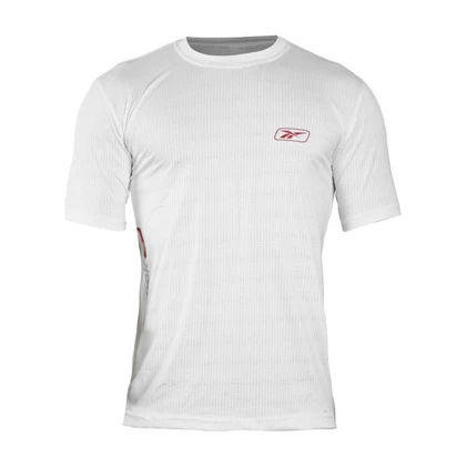 تیشرت ورزشی مردانه مدل GS-M-GMS-189999