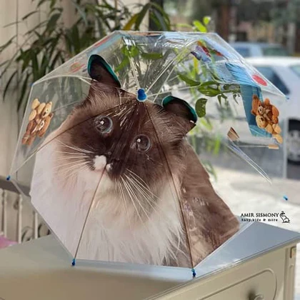 چتر شیشه ای بچگانه طرح حیوانات برجسته