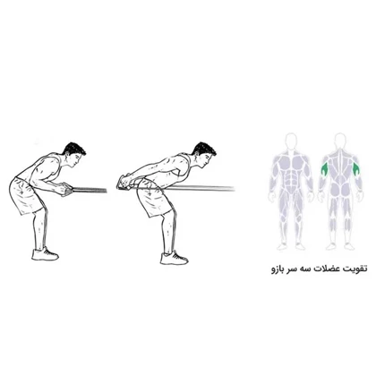 کش ورزشی رادیس فیت مدل All in One مشکی