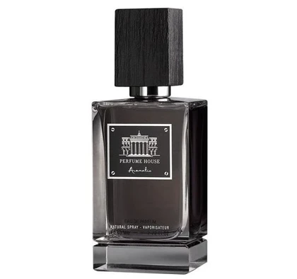 ادکلن مردانه پرفیوم هاوس مدل Perfume House Aromatic حجم 100 میل