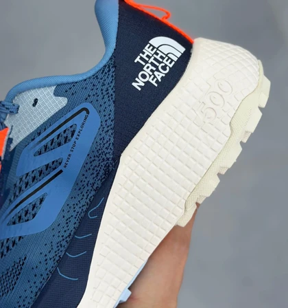 کتانی ویتنامی تریل رانینگ نورث فیس آلتامسا 500 آبیThe North Face Altamesa 500 Blue