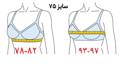 نیم‌تنه طرح شکوه
