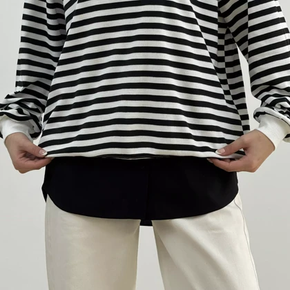 اکستندر 1007623