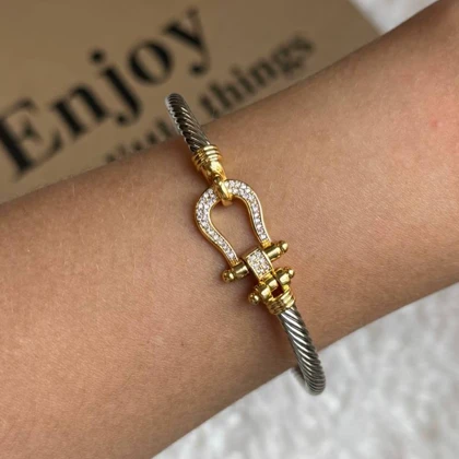 بنگل فرد امگا