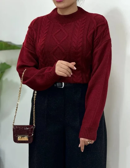 پلیور بافت نبات 1