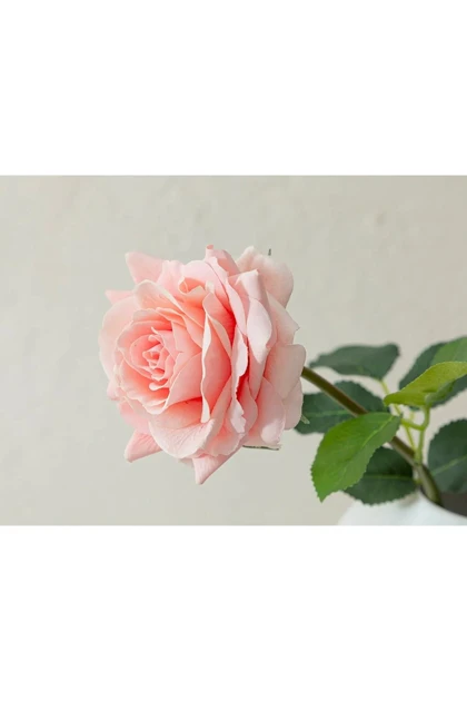 گل مصنوعی پارچه‌ای تک شاخه English Home مدل Canker Bloom