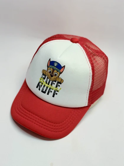 کلاه پسرانه سگ های نگهبان پشت تور