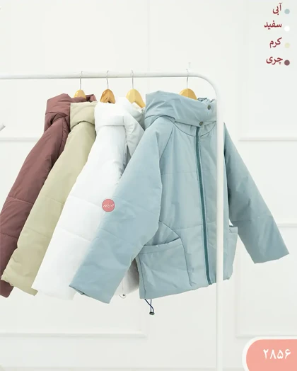 کاپشن کلاهدارستینا 2856