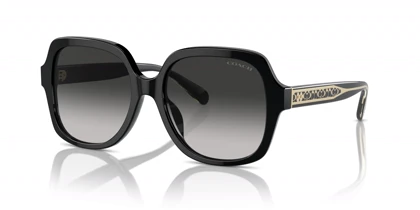 عینک آفتابی کوچ Coach HC8395U