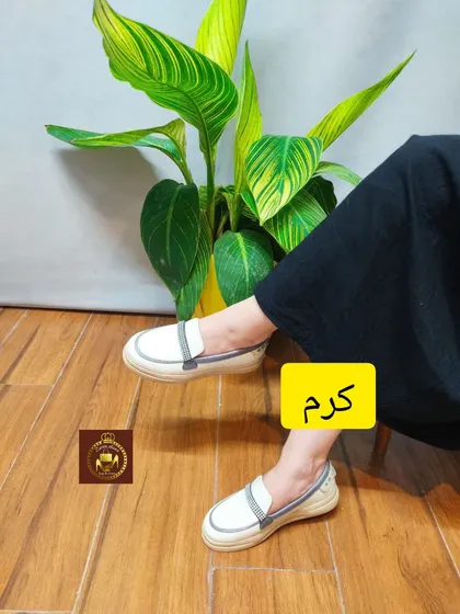 کالج طبی نگینی زنانه