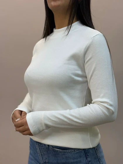 بلوزیقه ایستاده ویولت 1647