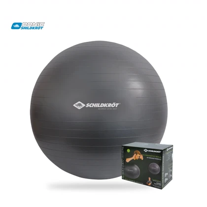 توپ جیم بال برند شیلدکروت SCHILDKROT GYM BALL