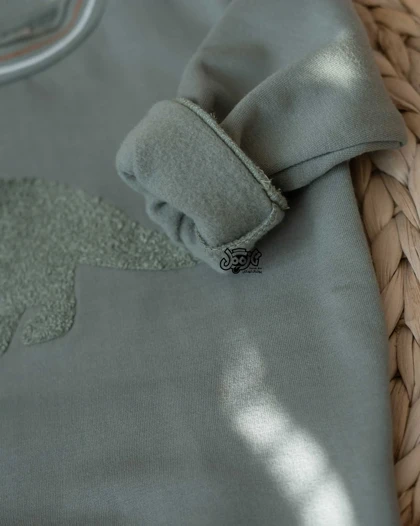 دورس پسرانه طرح دایناسور