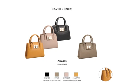 کیف دستی مدل David Jones CM6913