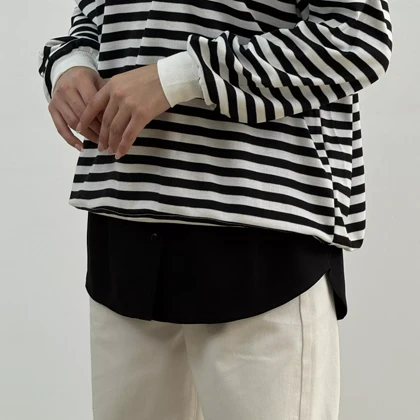 اکستندر 1007623