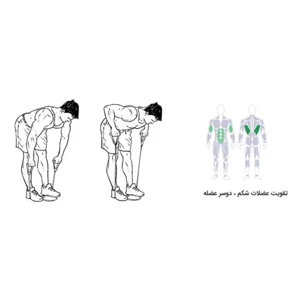 کش ورزشی رادیس فیت مدل All in One مشکی