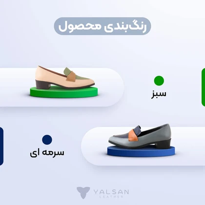 کفش پاشنه‌دار زنانه مدل جانت کد 666-MC
