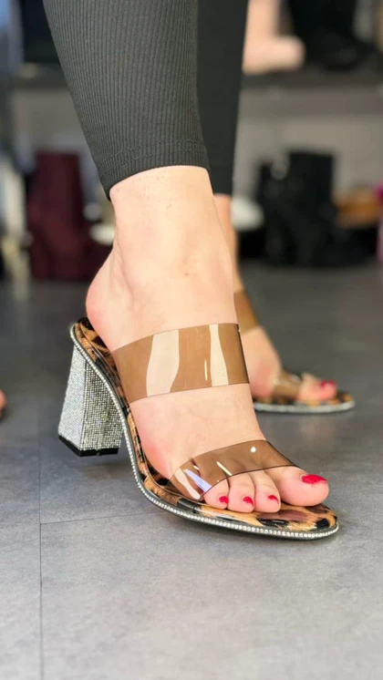 p499 - طلق زیره نگینی p499