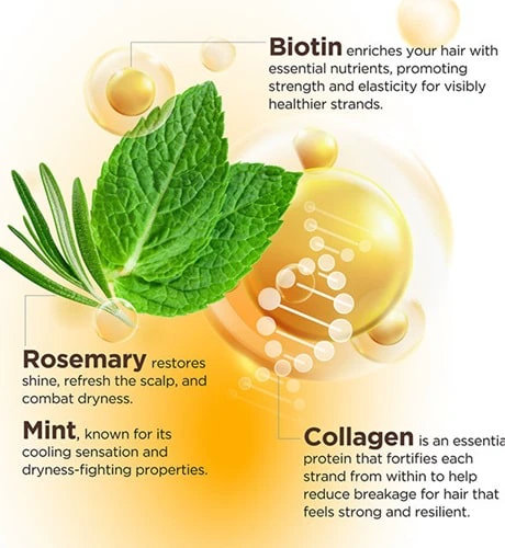 نرم کننده بیوتین کلاژن و رزماری اوری استرند 399 میل