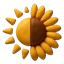 گل نور استایل