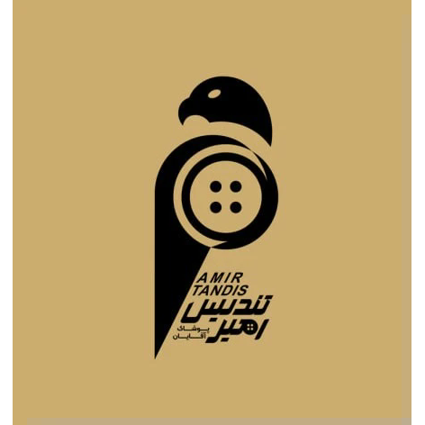 امیر تندیس